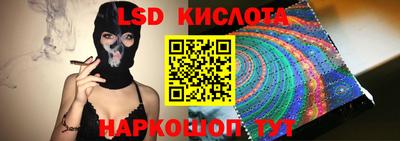 прущие грибы Новодвинск